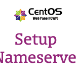 CentOS Web Panel Setup Nameserver